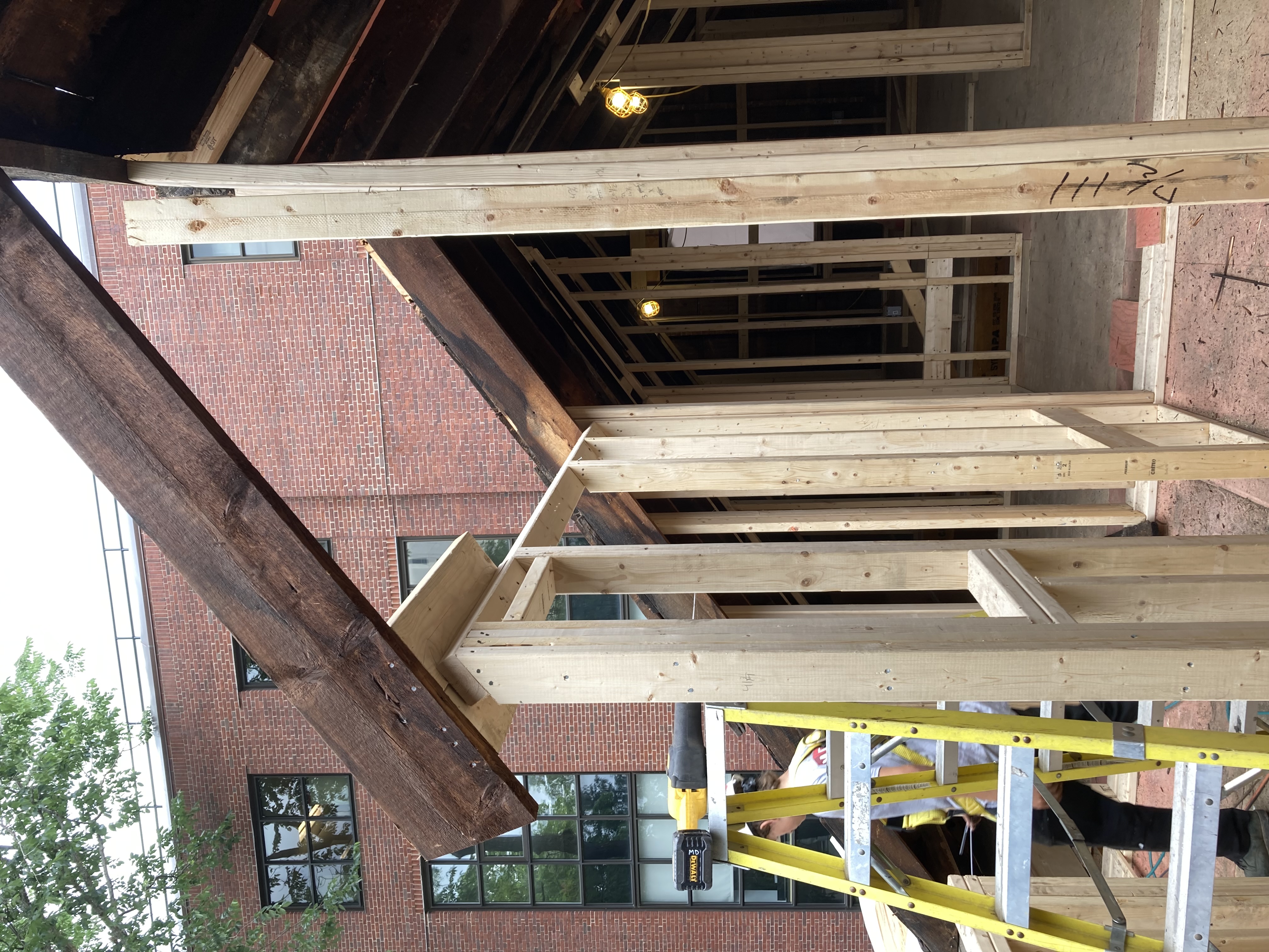 Harvard University Dorm Project photo 5