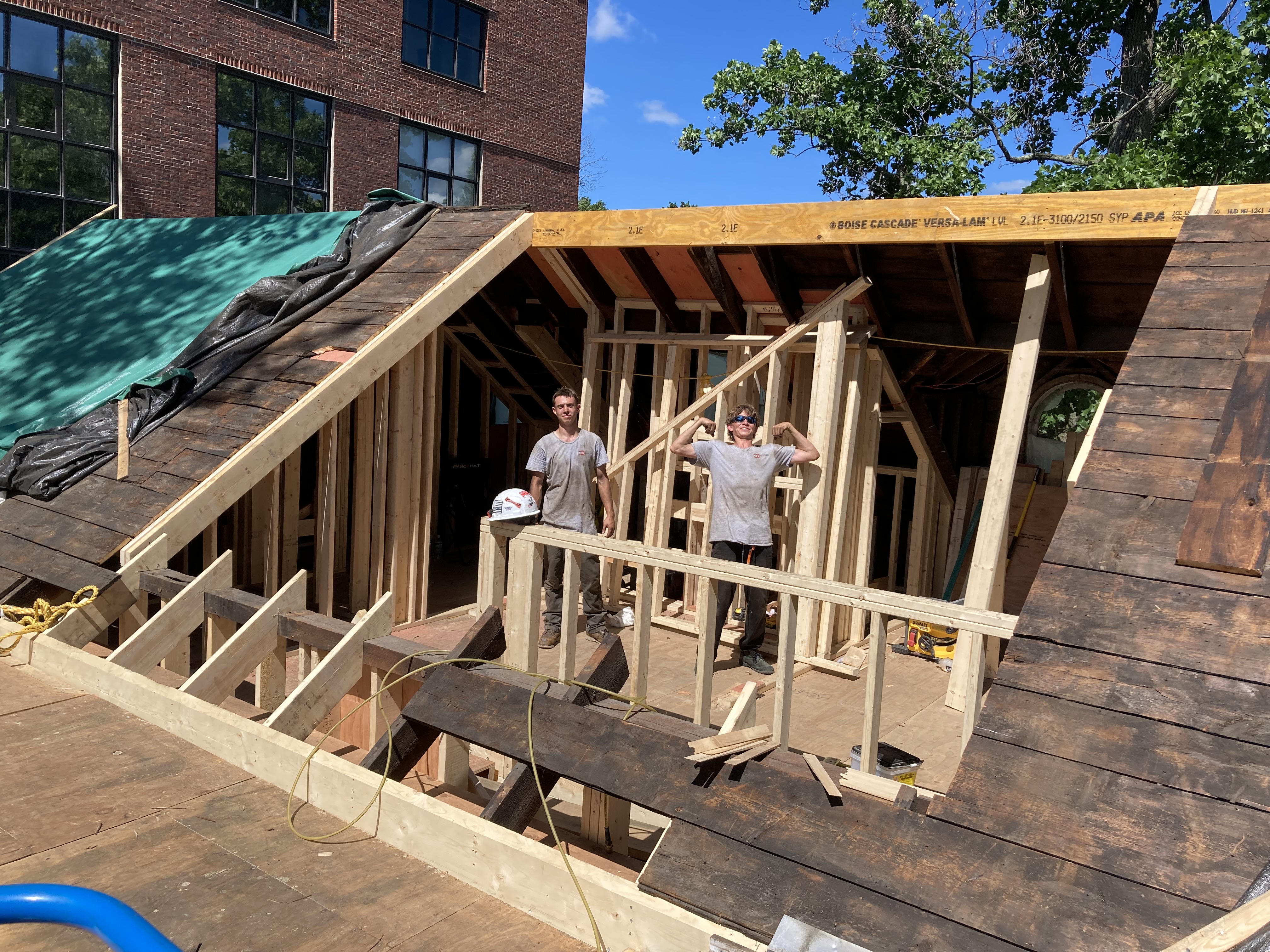 Harvard University Dorm Project photo 6